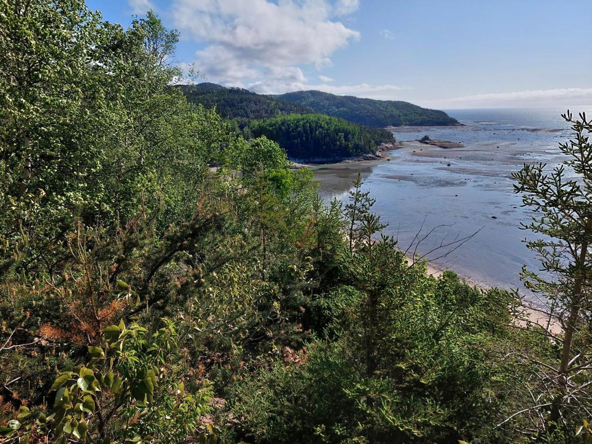 Villa La Nef Bleue Tadoussac Exterior foto